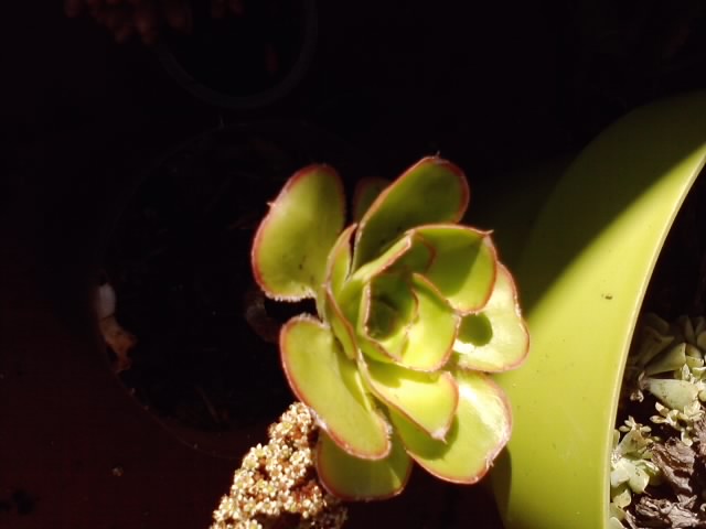 P211213_11.31_%255B01%255D.jpg