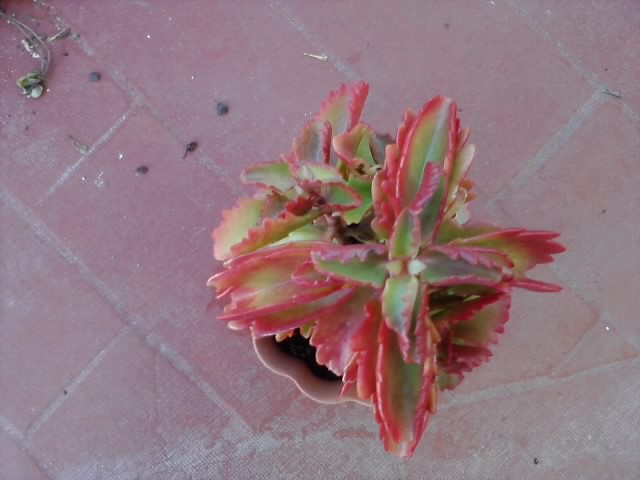 P211213_11.46.jpg