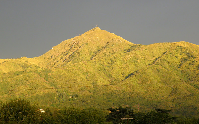 P2132387.JPG