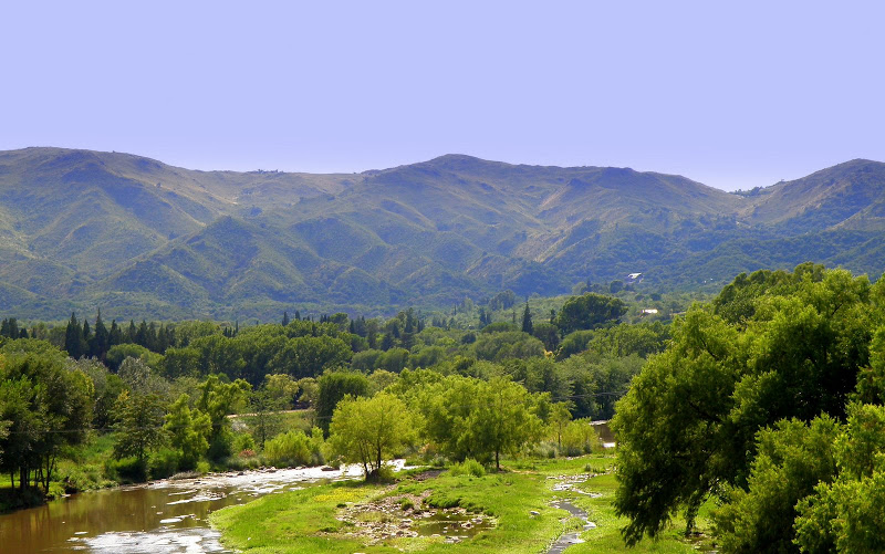 P2142413.JPG
