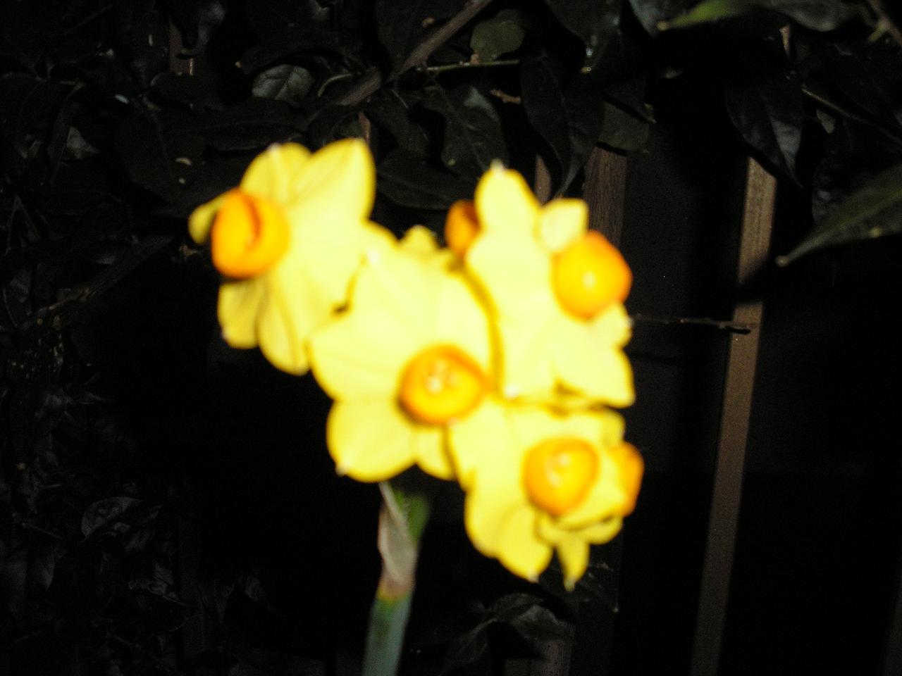 P2210058_1.JPG