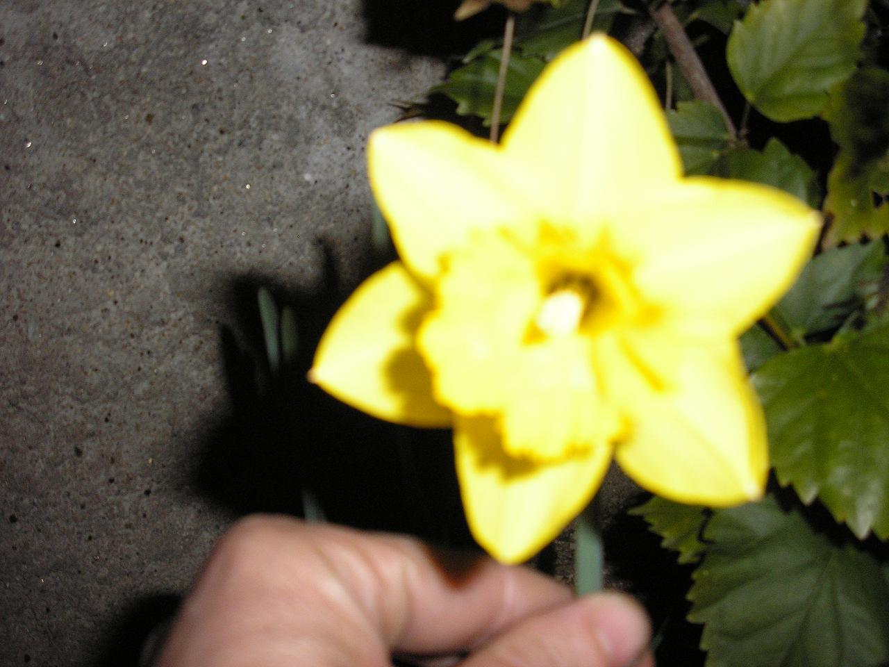 P2210075-2.JPG