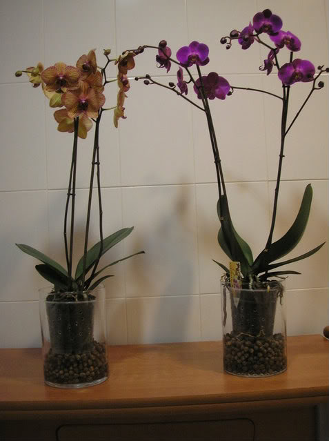 P2220159-1.jpg