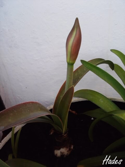 P230413_20.jpg