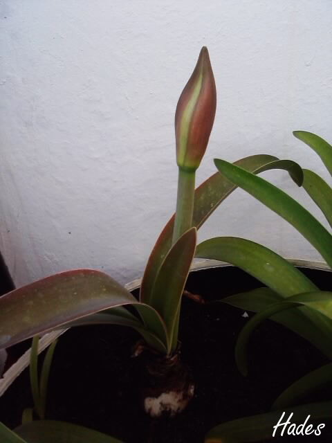 P230413_20.jpg