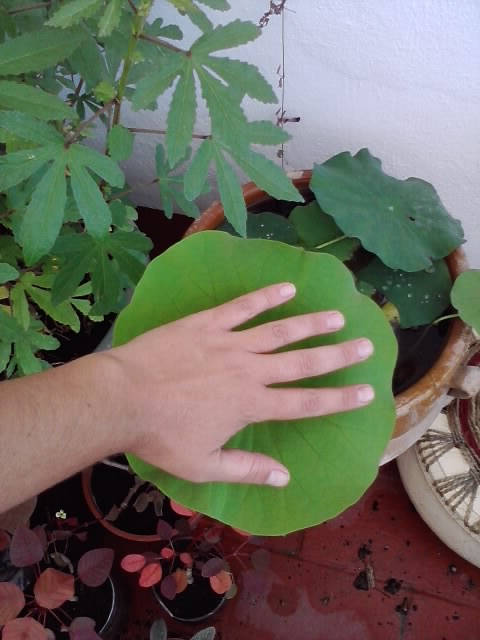 P290913_11.00.jpg