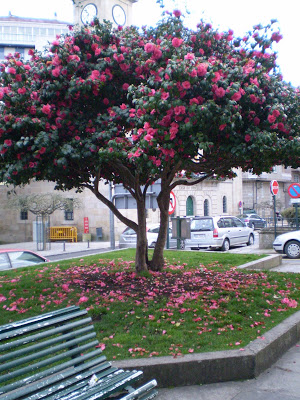 P3060100.JPG