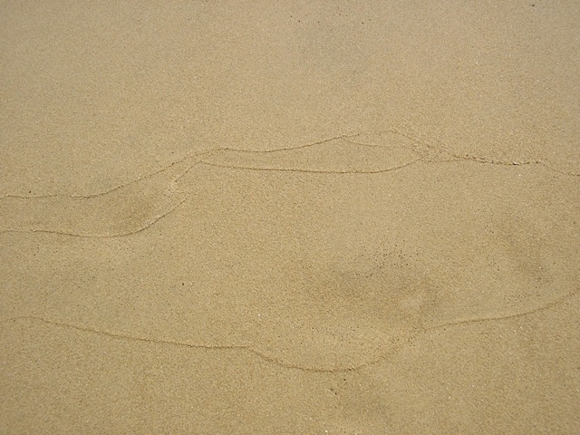 P3080087.JPG