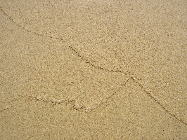 P3080092.JPG