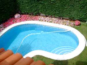P31.jpg