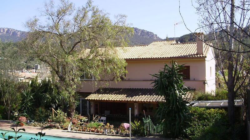 P3131955.JPG