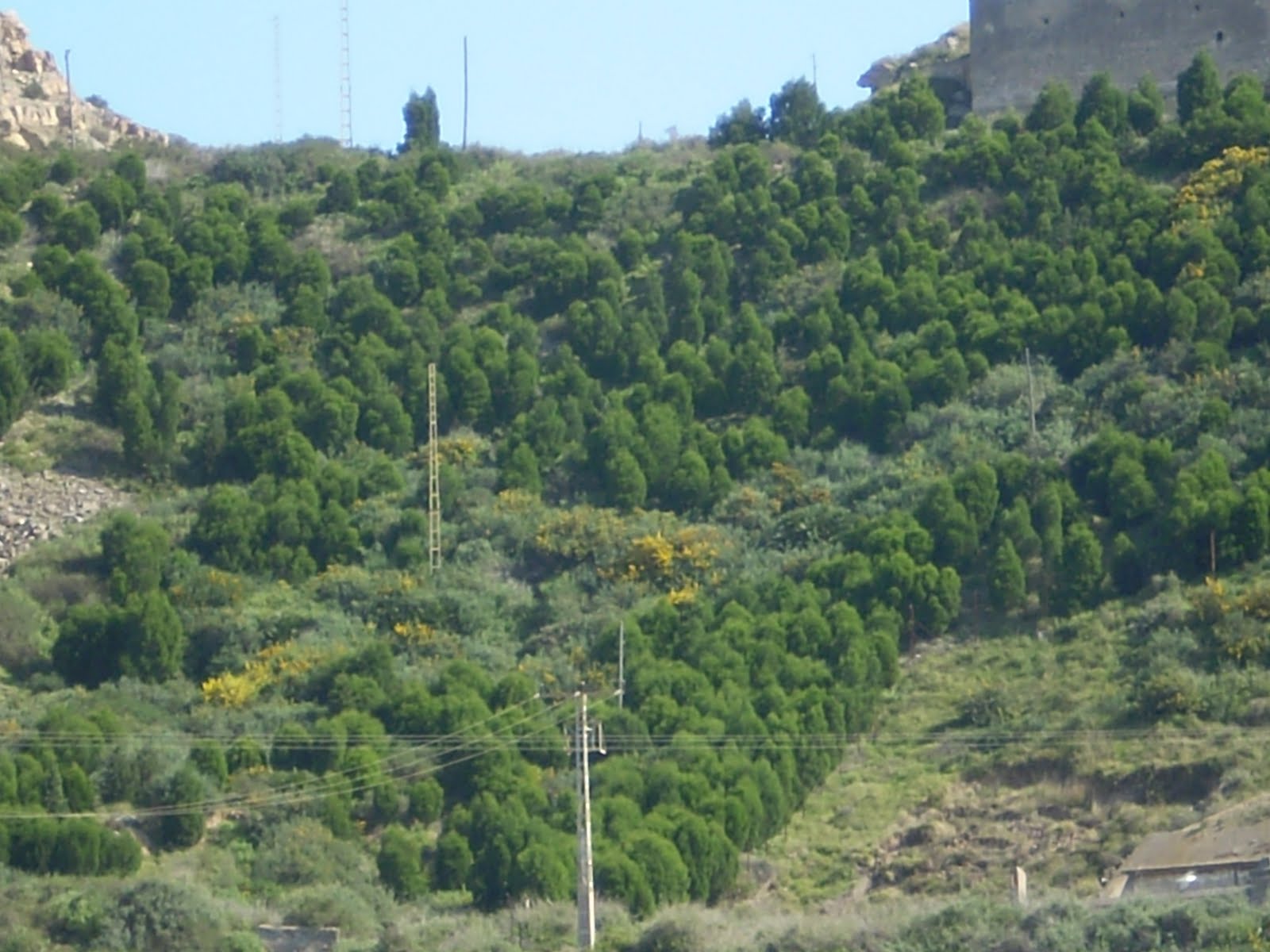 P4010634.JPG