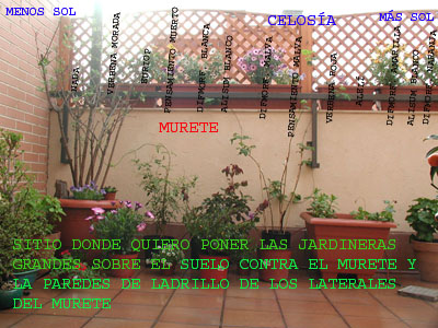 P4030001%20copy2.jpg