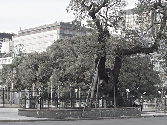 P4040069.jpg