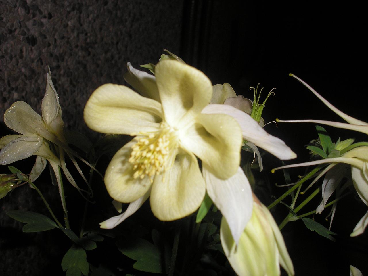 P4040308%201.JPG