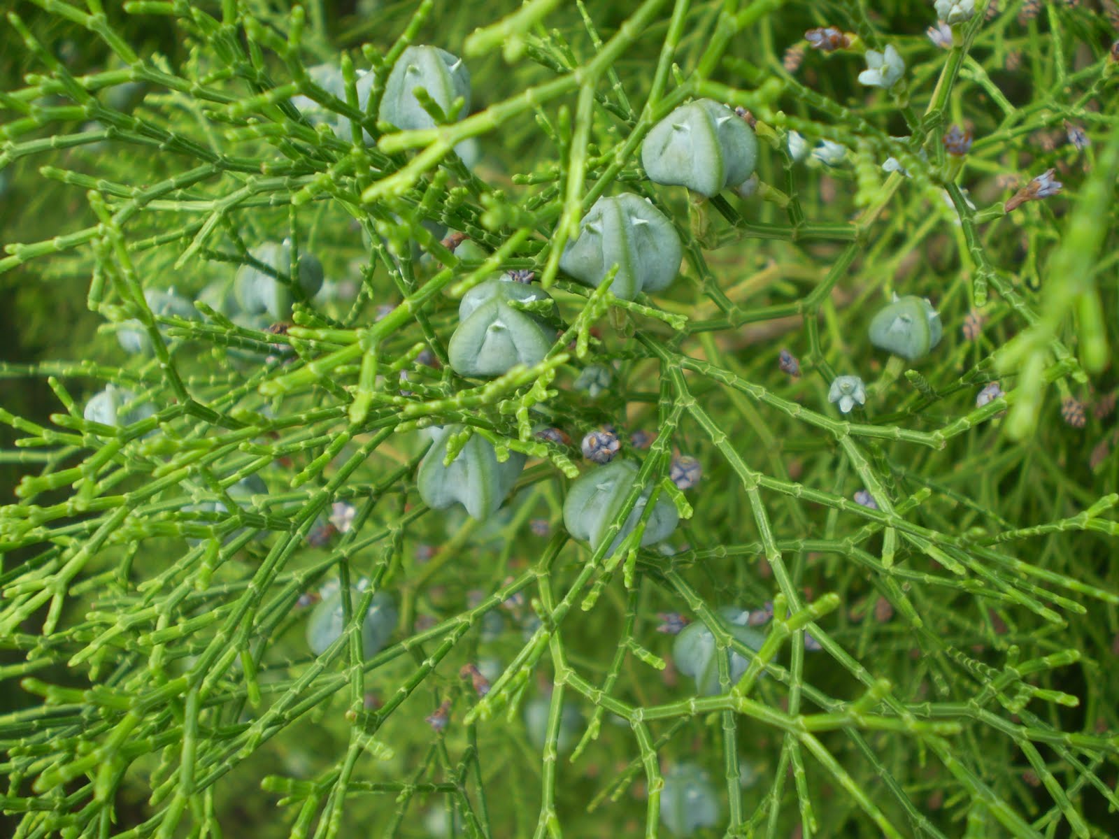P4100012.JPG