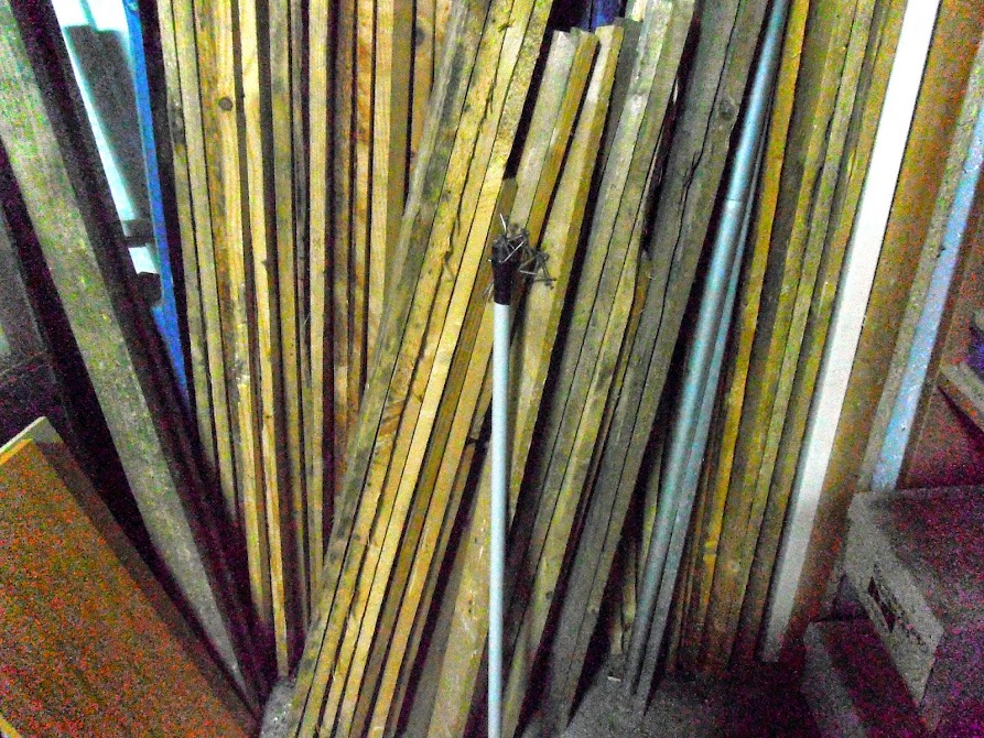P4150054.JPG