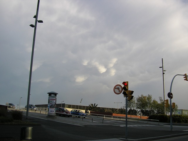 P4180071_.JPG