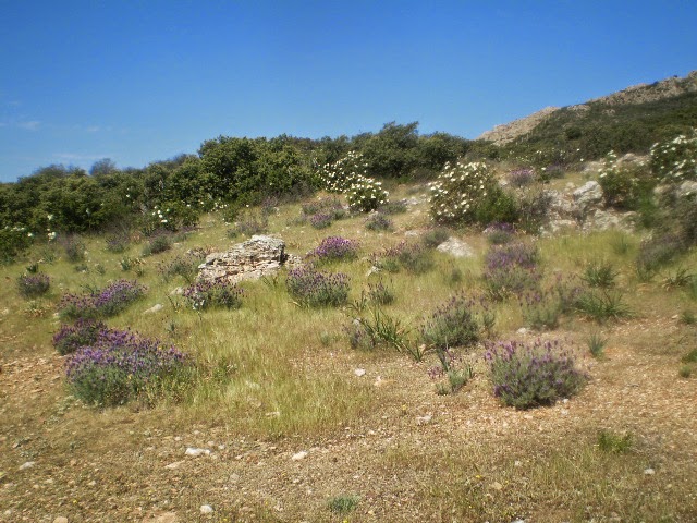 P4180821.JPG