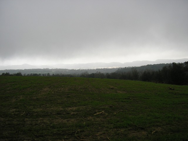 P4200128_.JPG