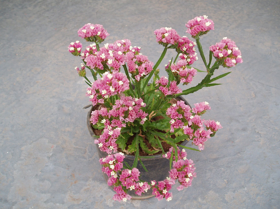 P4210044_web.jpg