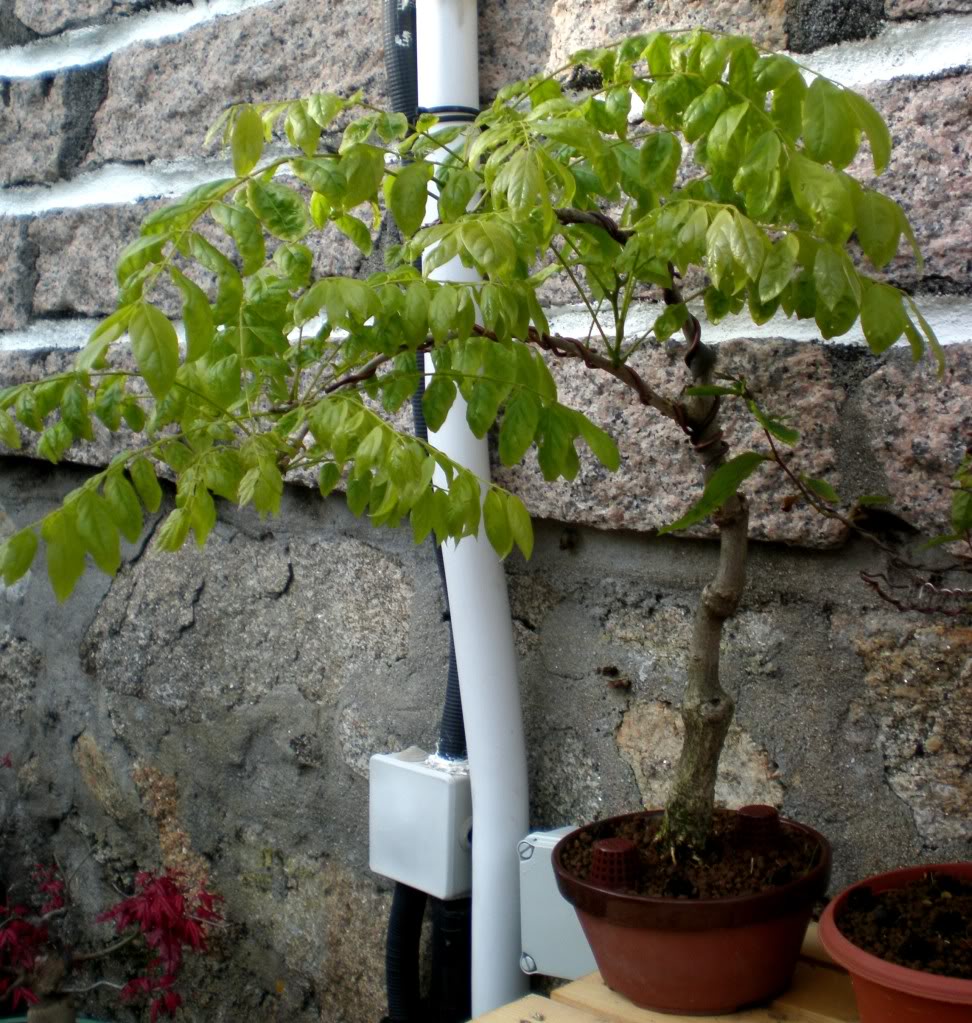 P4250373.jpg