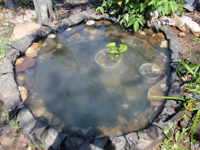 P4260166.JPG