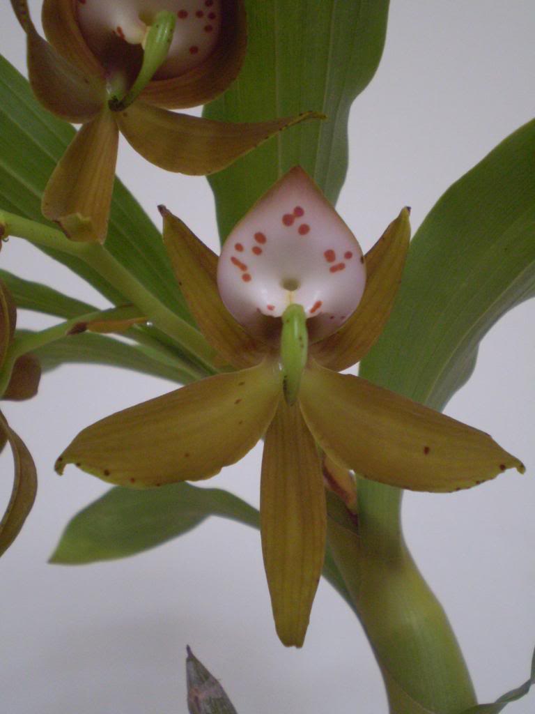P4290025_zps3d2d0296.jpg