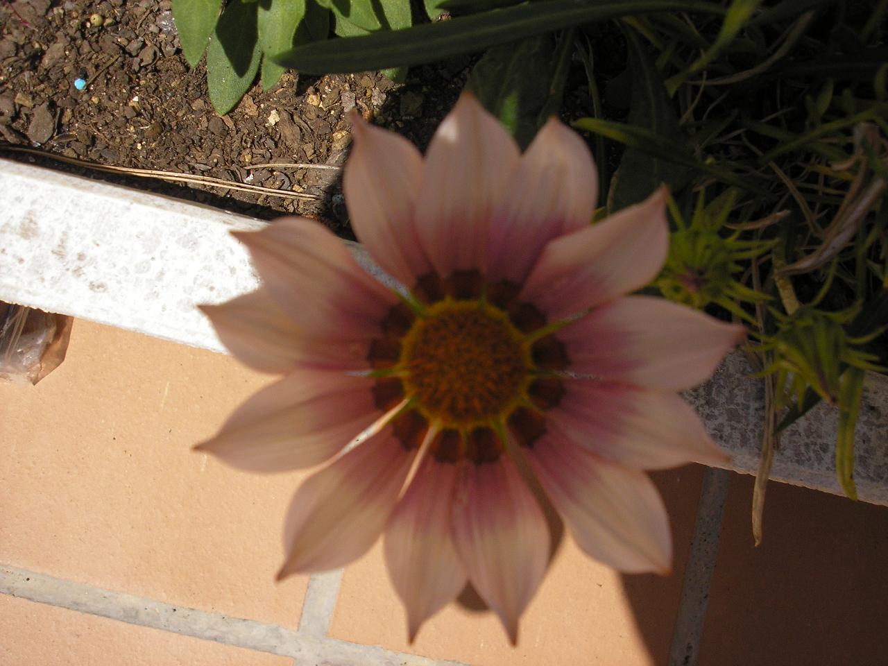 P5010467-2%7E0.JPG