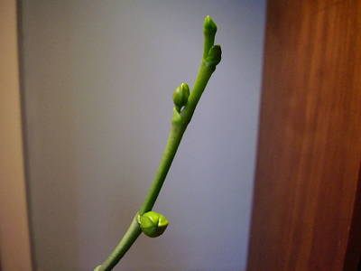 P5040002.JPG