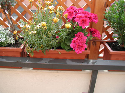 P5060008%20copy.jpg