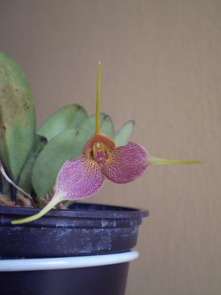 P51200591205_zpsb92691ca.jpg