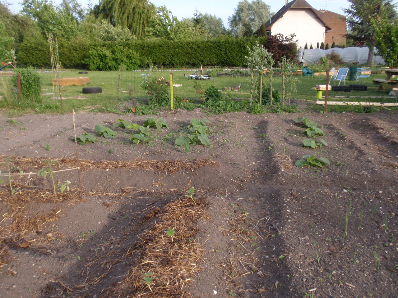 P5223256.JPG
