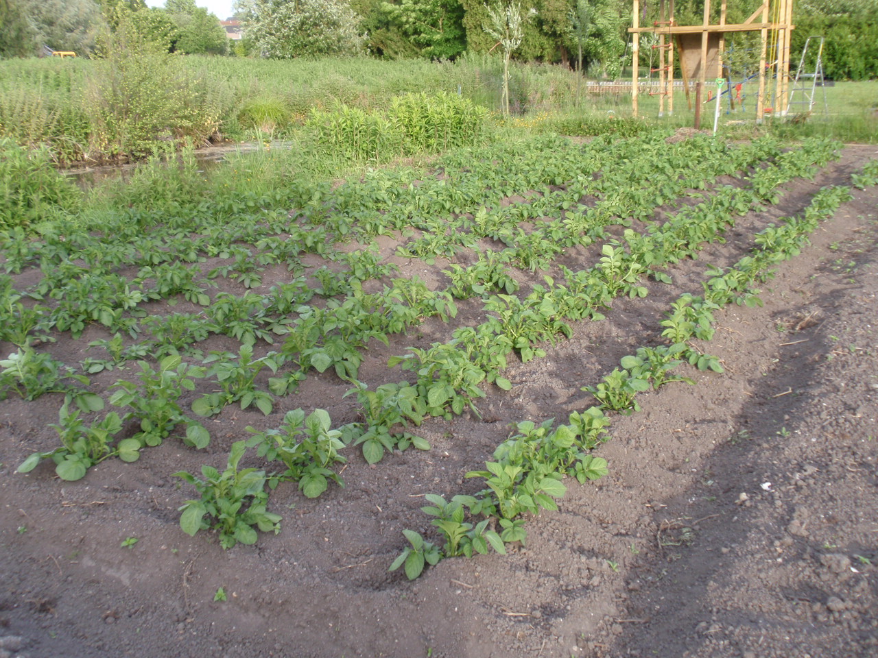 P5223258.JPG
