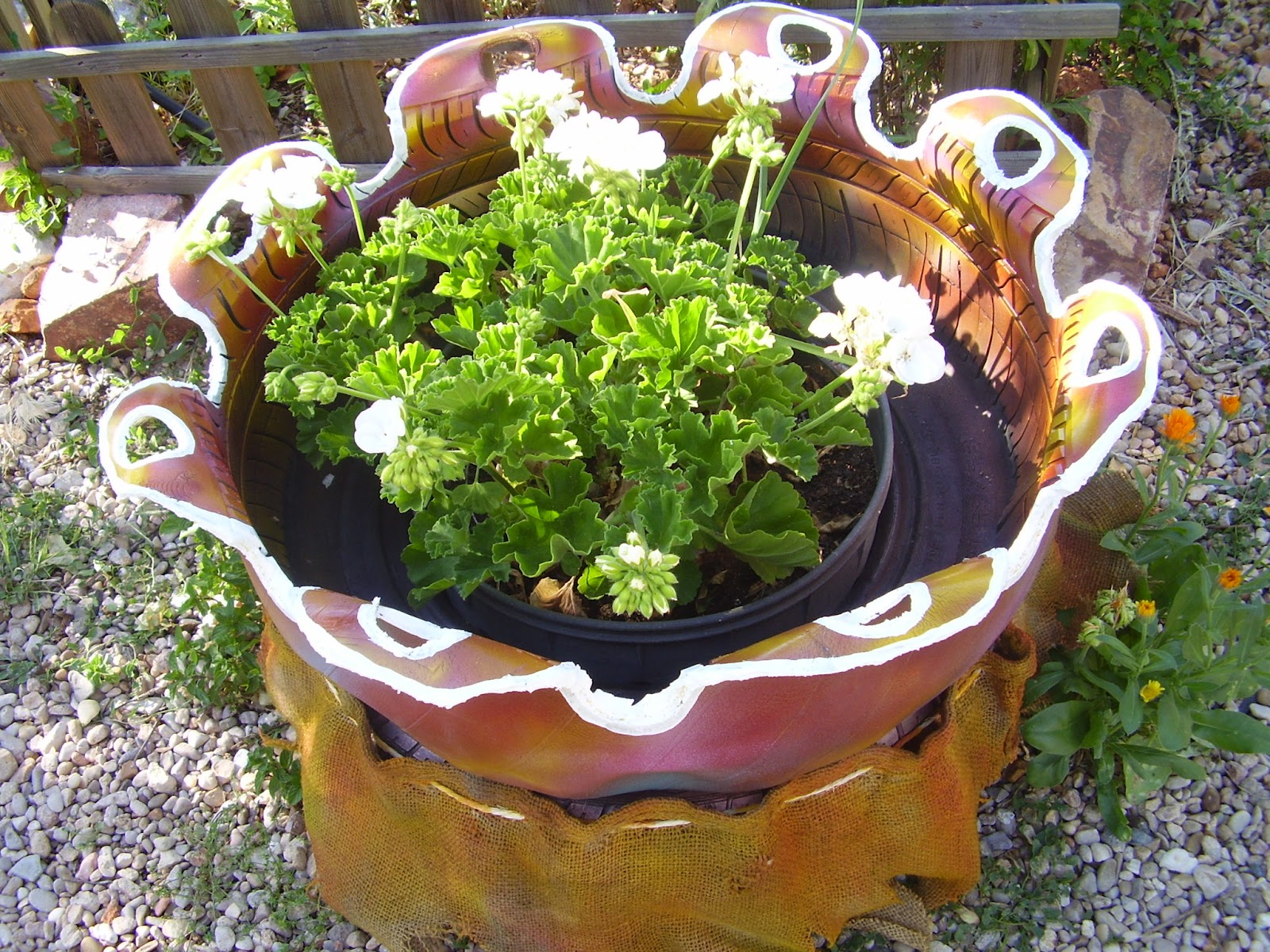 P5240081.JPG