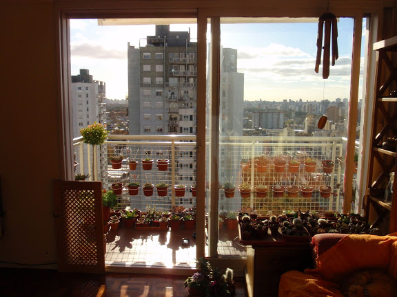 P5284698.JPG