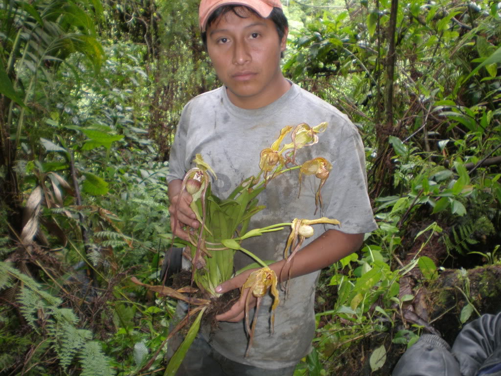 P5300062.jpg