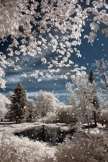 p6.gif