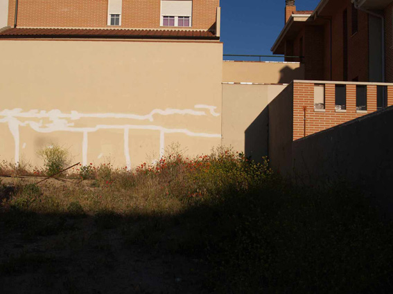 P6014273-bis.jpg