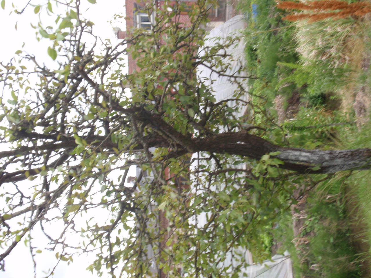 P6083364.JPG