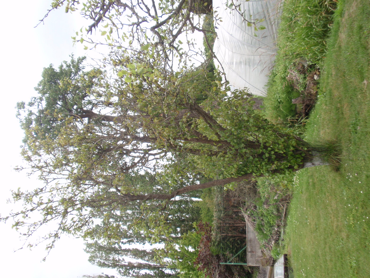 P6083367.JPG