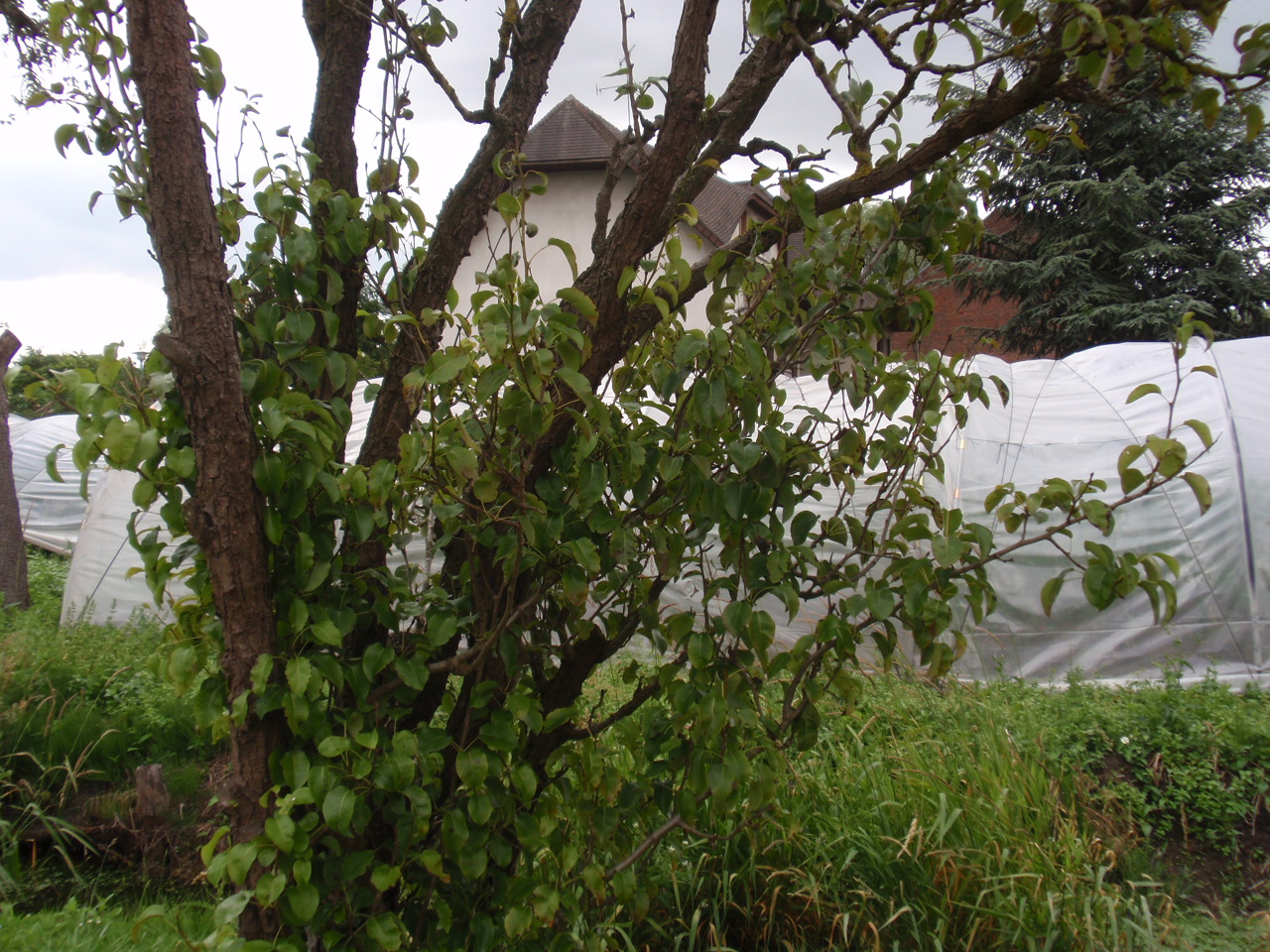 P6083368.JPG