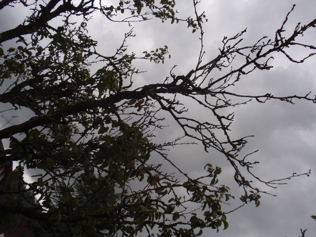 P6083369.JPG
