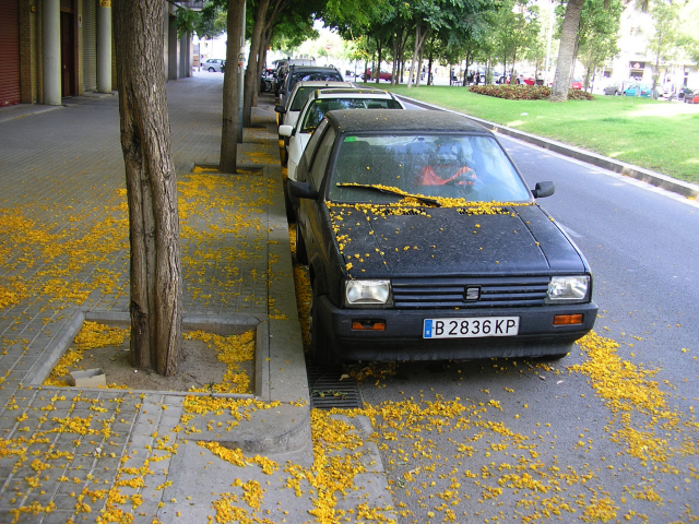 P6200122_.JPG