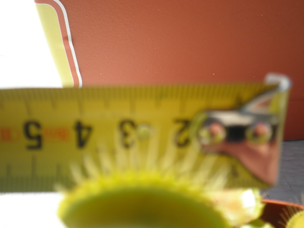P6270385.jpg