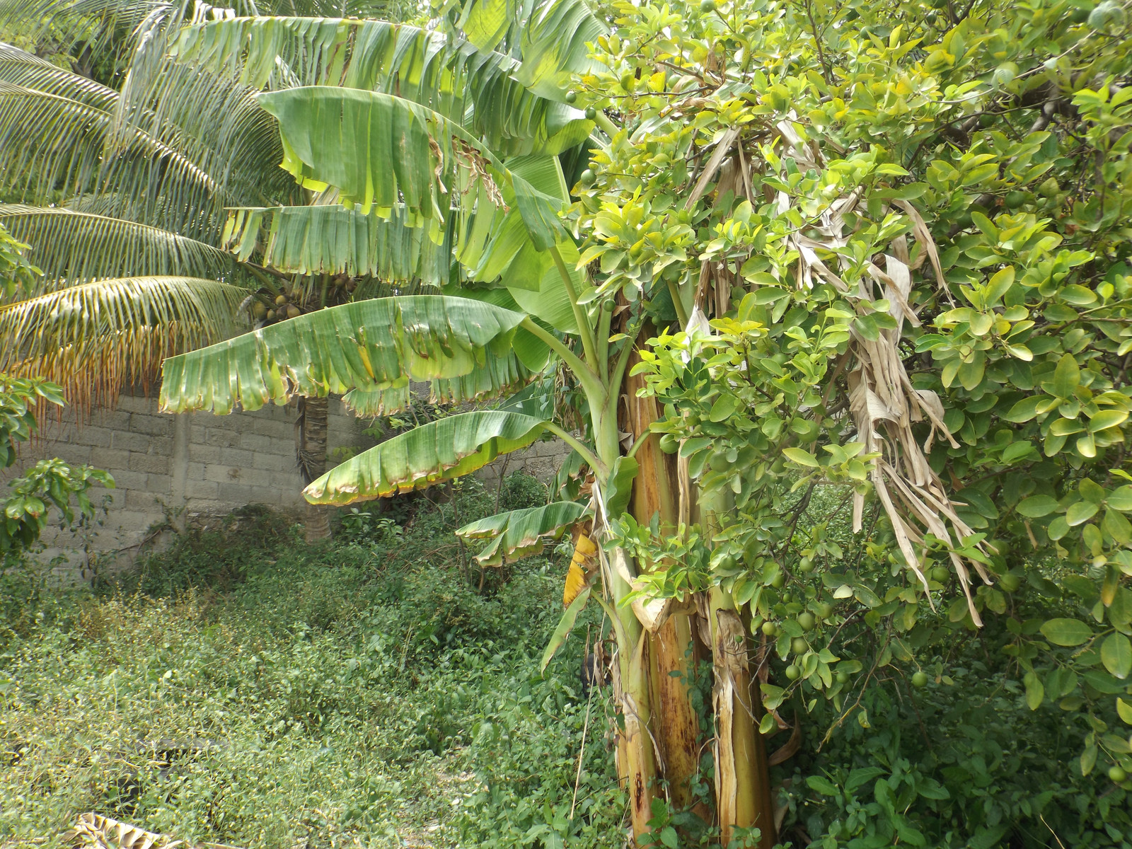 p65tD4o.jpg