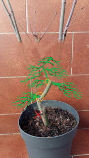 p6abO93wyVb4HkfMq5LcMbcRQAJmW5Japiywf_c97USjqKHdwdLaphNqkDgmkwxXKCOGn54-bXjmoasPmrhvQrKSYul=s320.jpg