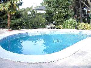 p7.jpg