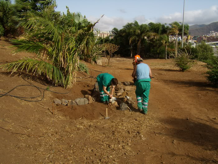 P7090148_redimensionar.jpg