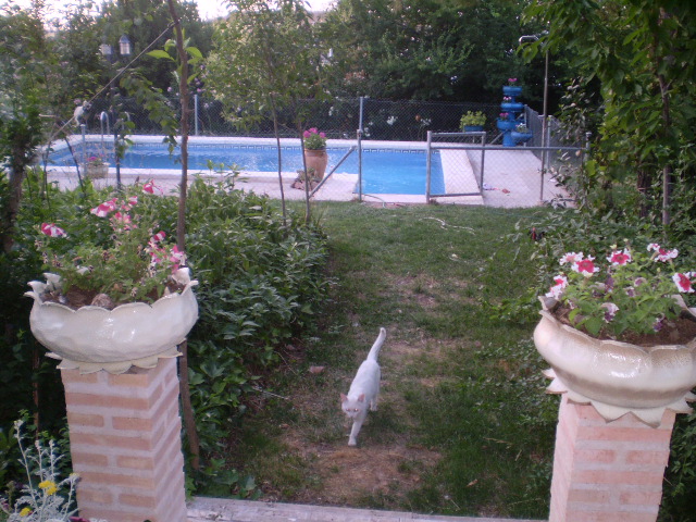 P7110277.JPG